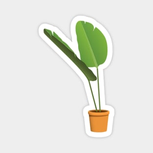 Plant aesthetic Magnet