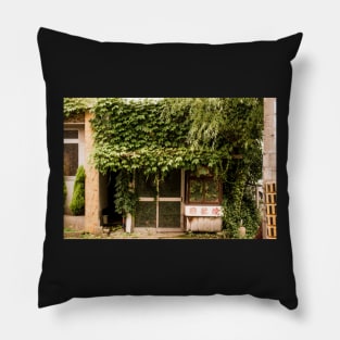 Unique street photography of Reclaimed by nature Pillow