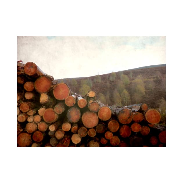 The Woodpile in the Wood by rosedew