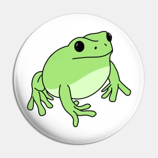 Frog Pin