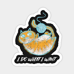 I do what I want Funny knitting cat Magnet