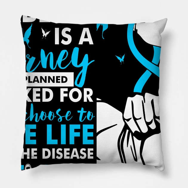 Diabetes Is A Journey T1D Diabetes Awareness Warrior Pillow by huthtuocgay843r