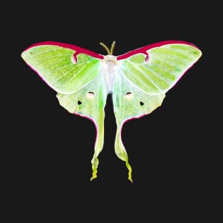 Luna Moth T-Shirt