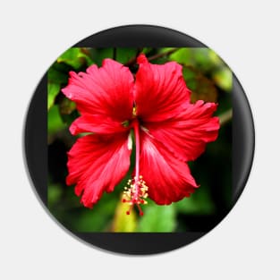 Hibiscus in Red #1 Pin