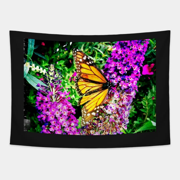 Monarch Butterfly on Purple Flowers Tapestry by 1Redbublppasswo