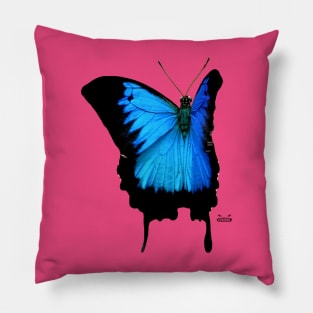 Morpho Butterfly Pillow