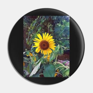 Sunflower in summer Pin