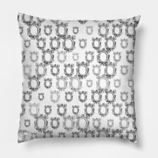 Texture of an antique cartouche. Architectural detail Pillow