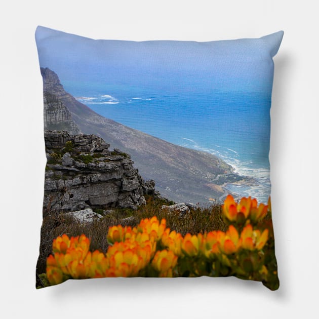 View from Table Mountain, Cape Town, South Africa Pillow by SafariByMarisa