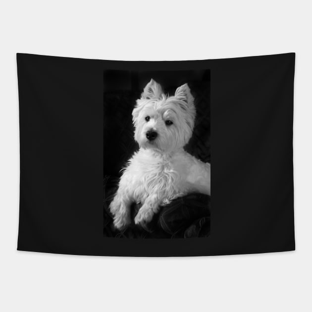 Westie Tapestry by princess-pirate