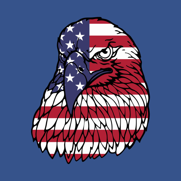 Discover American Eagle - America - T-Shirt