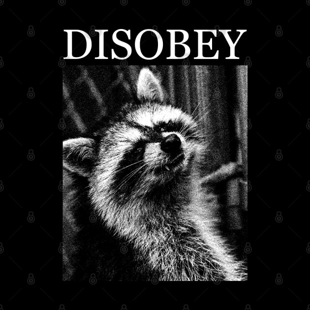 Raccoon Disobey by giovanniiiii