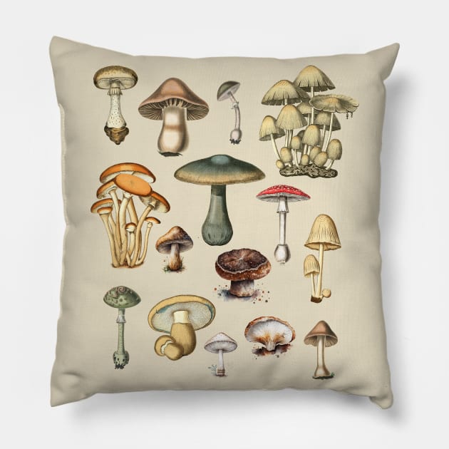 Vintage Mushrooms Dark Academia Illustrations Pillow by PUFFYP