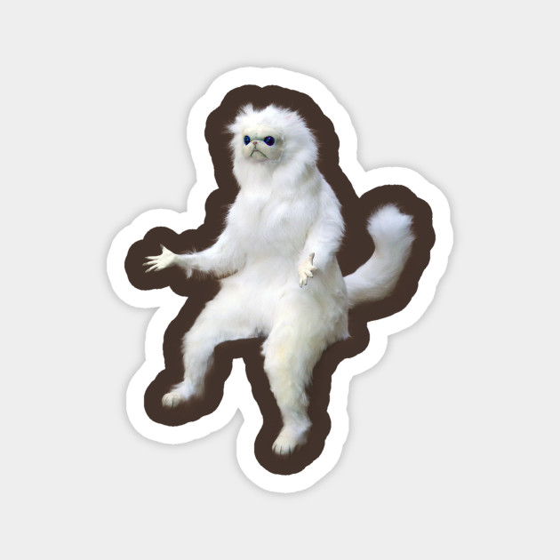 White Cat Cat Meme Cat Aimant Teepublic Fr