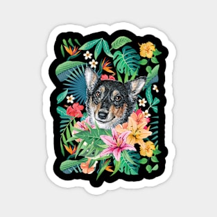 Tropical Black Headed Tricolor White Corgi Magnet