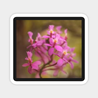 Crucifix Orchid Bunch Magnet