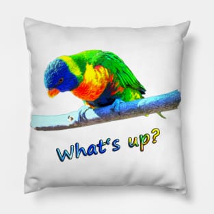 What's up? Pillow