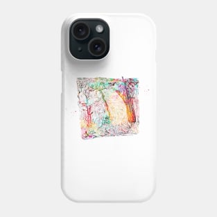 Skin section Phone Case