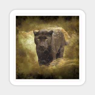 Panther Animal Wildlife Jungle Nature Adventure Free Travel Digital Painting Magnet