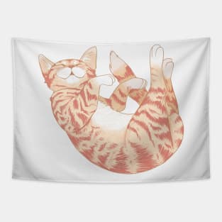 Cute sleeping cat Tapestry