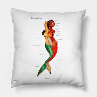 Siren's Anatomy Pillow