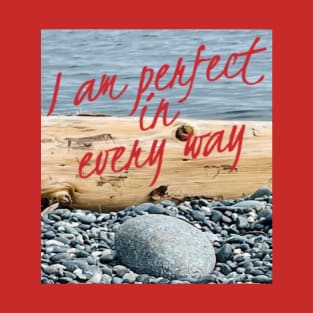 I AM PERFECT IN EVERY WAY T-Shirt