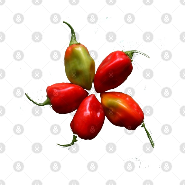 Five habanero peppers by Made the Cut