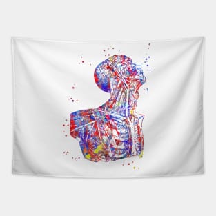 Human anatomy, human body, torso Tapestry