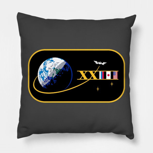 Expedition 23 Crew Patch Pillow by Spacestuffplus