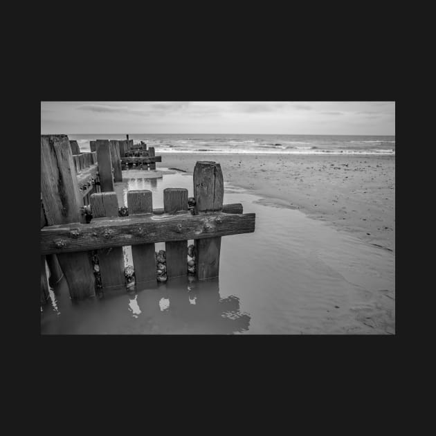 Wooden sea defences protecting the beach from coastal erosion by yackers1