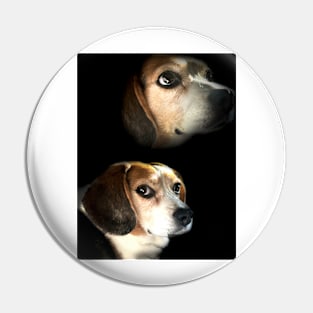 The Double Exposure Beagle Pin