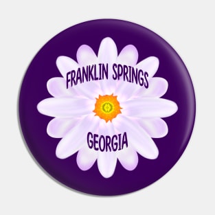 Franklin Springs Georgia Pin