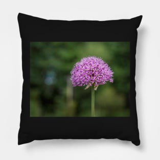 Lonely allium blooming Pillow