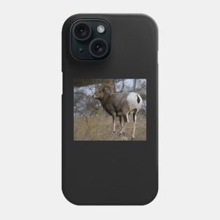 Big Horn Sheep Phone Case