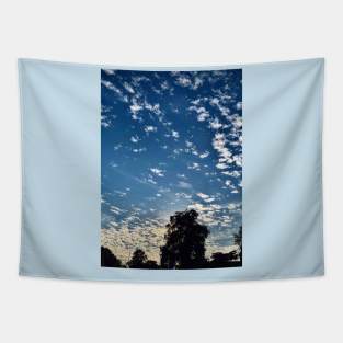 Blue Sky Tapestry