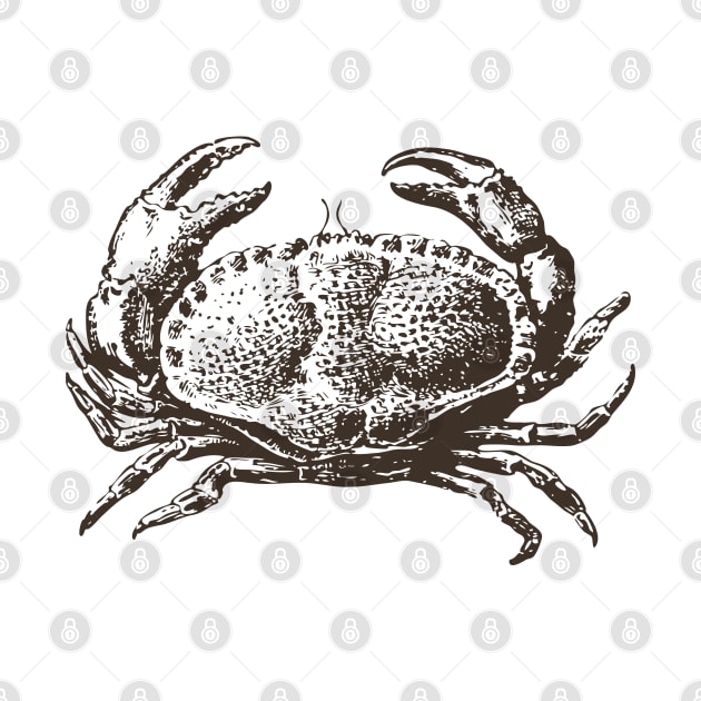 Crab - Vintage Small Crab by KC Happy Shop