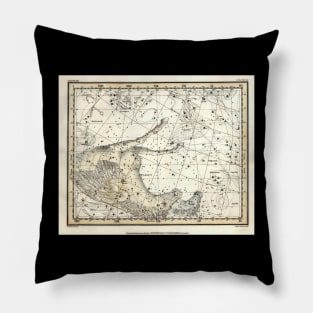 Pegasus Constellation - Alexander Jamieson Pillow