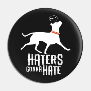 Haters Gonna Hate Pin