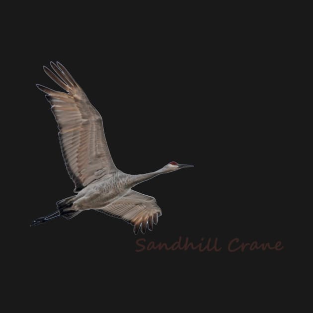 Sandhill Crane by Whisperingpeaks