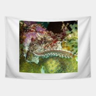 Coral Reef Bearded Fireworm - Caribbean Undersea Life Tapestry