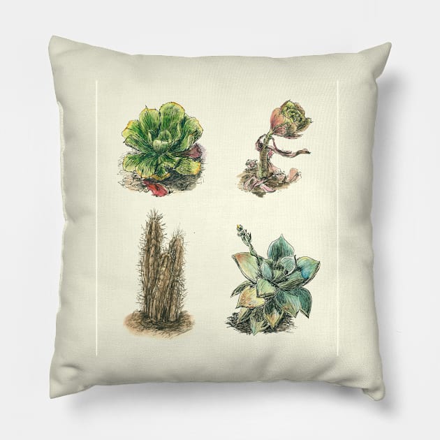 Succulents Cactus Home Garden Collection Pillow by VeraAlmeida