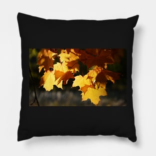 Golden Maple Leaves Pillow