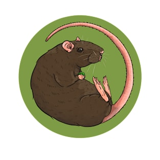 Brown Pet Rat Illustration T-Shirt