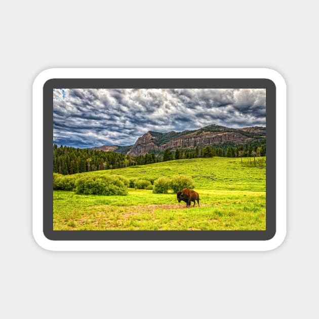 09551  Bison in Yellowstone Magnet by Gestalt Imagery