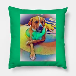 Handsome Anatolian shepherd boy Pillow