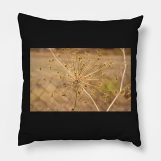 Seeds. Pillow