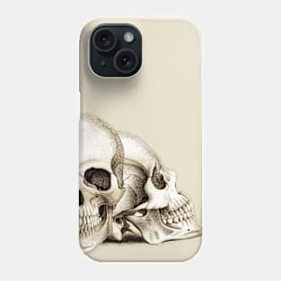 Two For Joy - Anatomical Drawing Of A Skull Phone Case