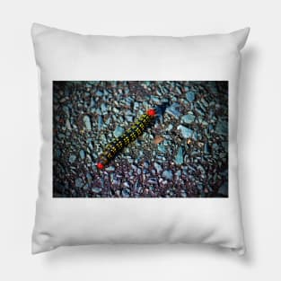 Azalea Caterpillar Pillow