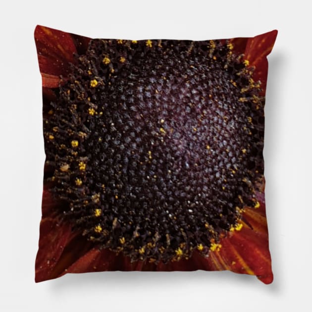 Centre Pillow by Celtic Morrigan