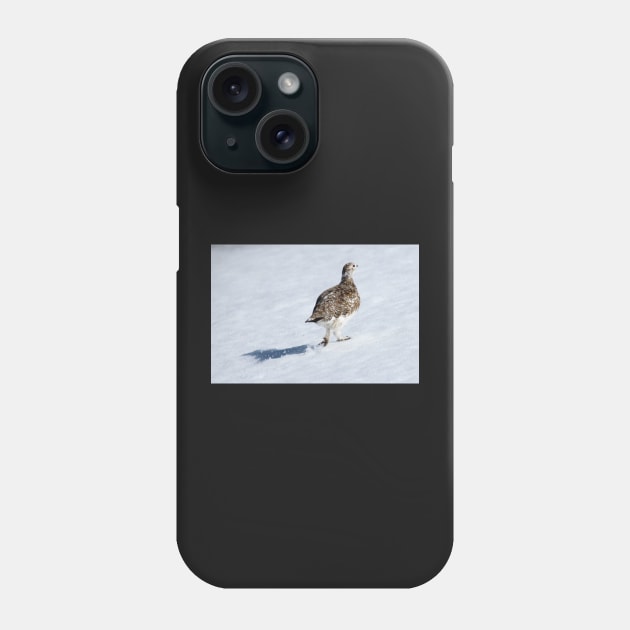 Ptarmigan Phone Case by orcadia